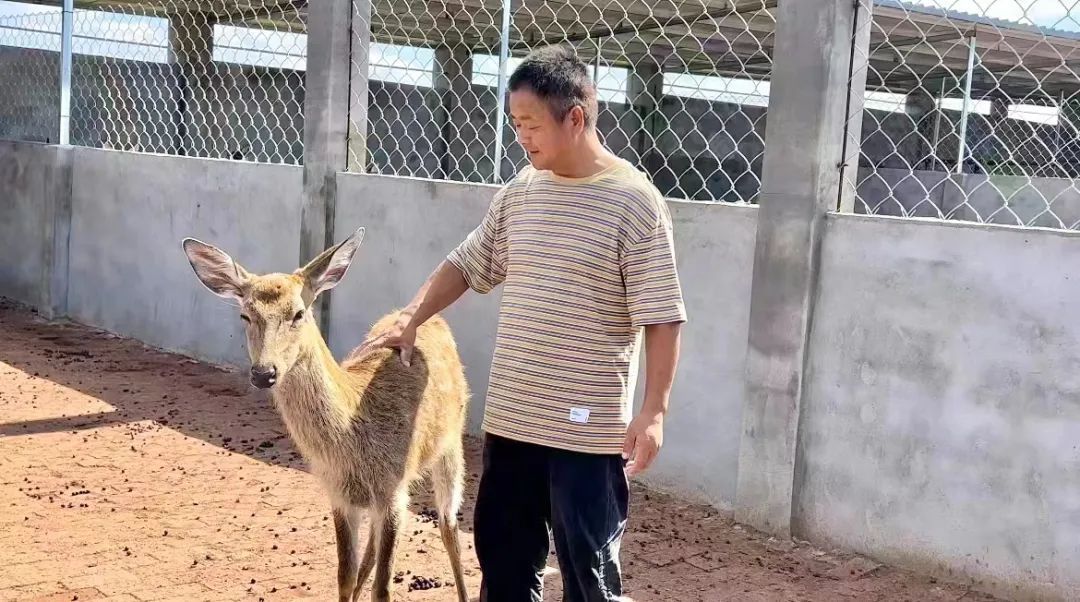 进一退二倍投怎么退